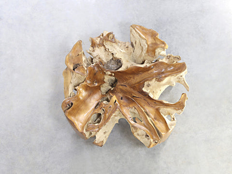 Wurzel Couchtisch aus Baumwurzel mit runder Glasplatte in 3 Größen
